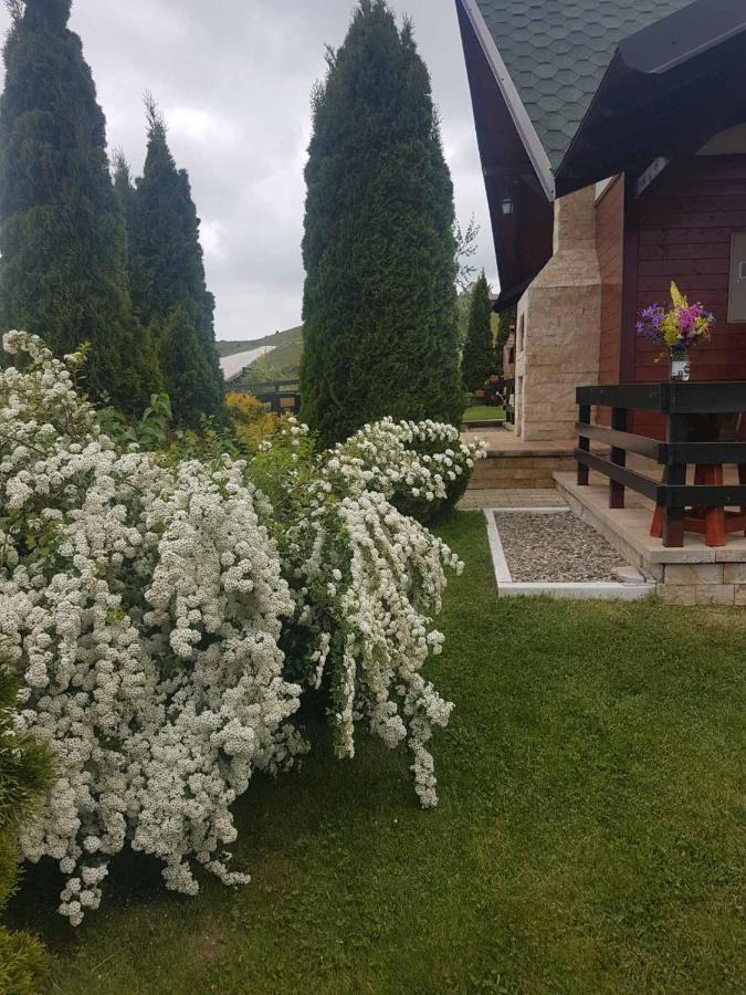 Apartments Hill House Zlatibor Buitenkant foto