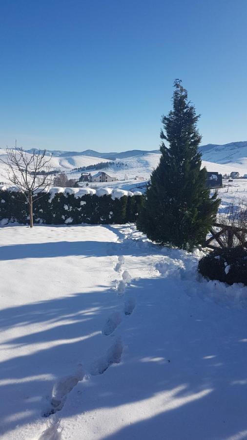 Apartments Hill House Zlatibor Buitenkant foto